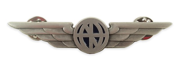Generic Aviator Uniform Wings - Silver
