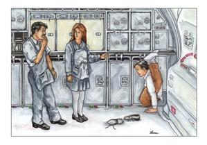 Flight Attendant Greeting Card - Twisted