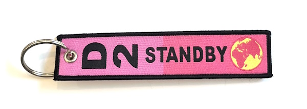 D2 Standby Key Ring Banner - Pink