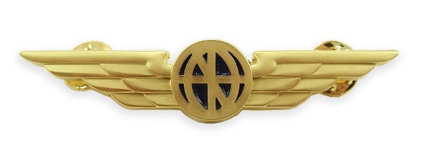 Generic Aviator Uniform Wings - Gold