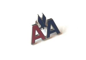 American Airlines  "AA" Lapel Pin