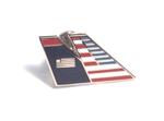 American Airlines/US Airways Merger Lapel Pin