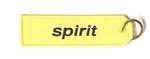 Spirit Airlines Embroidered Key Ring Banner